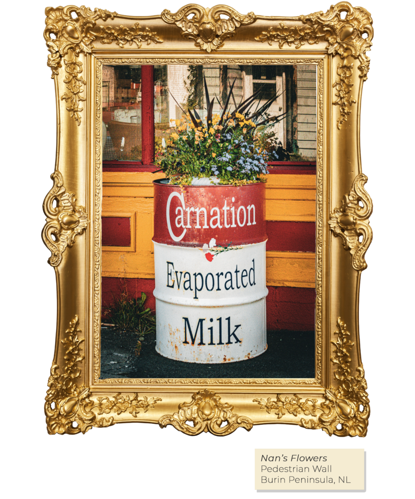A gold ornate frame borders a grungy photo of a large Carnation Evaporated Milk flower barrel in front of a red and orange wall. A label underneath reads "Nan's Flowers", Pedestrian Wall, NL.